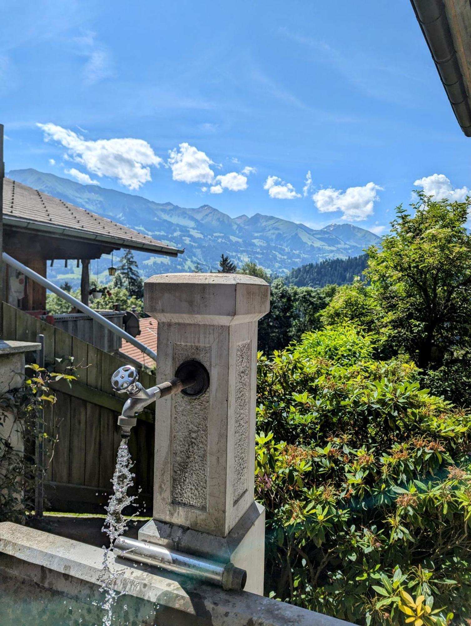 Swiss Mountain-Valley View Lodge Erlenbach im Simmental Eksteriør billede