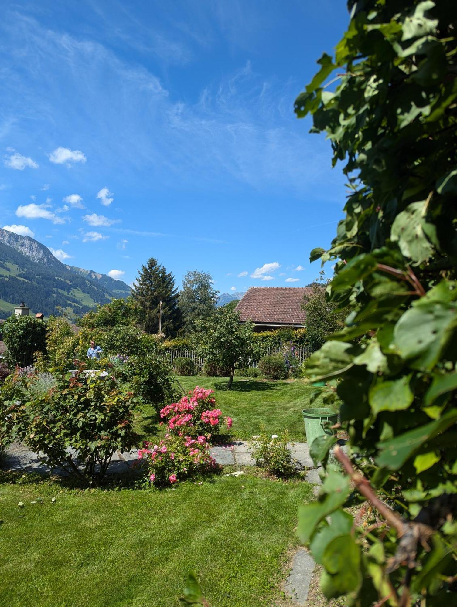 Swiss Mountain-Valley View Lodge Erlenbach im Simmental Eksteriør billede