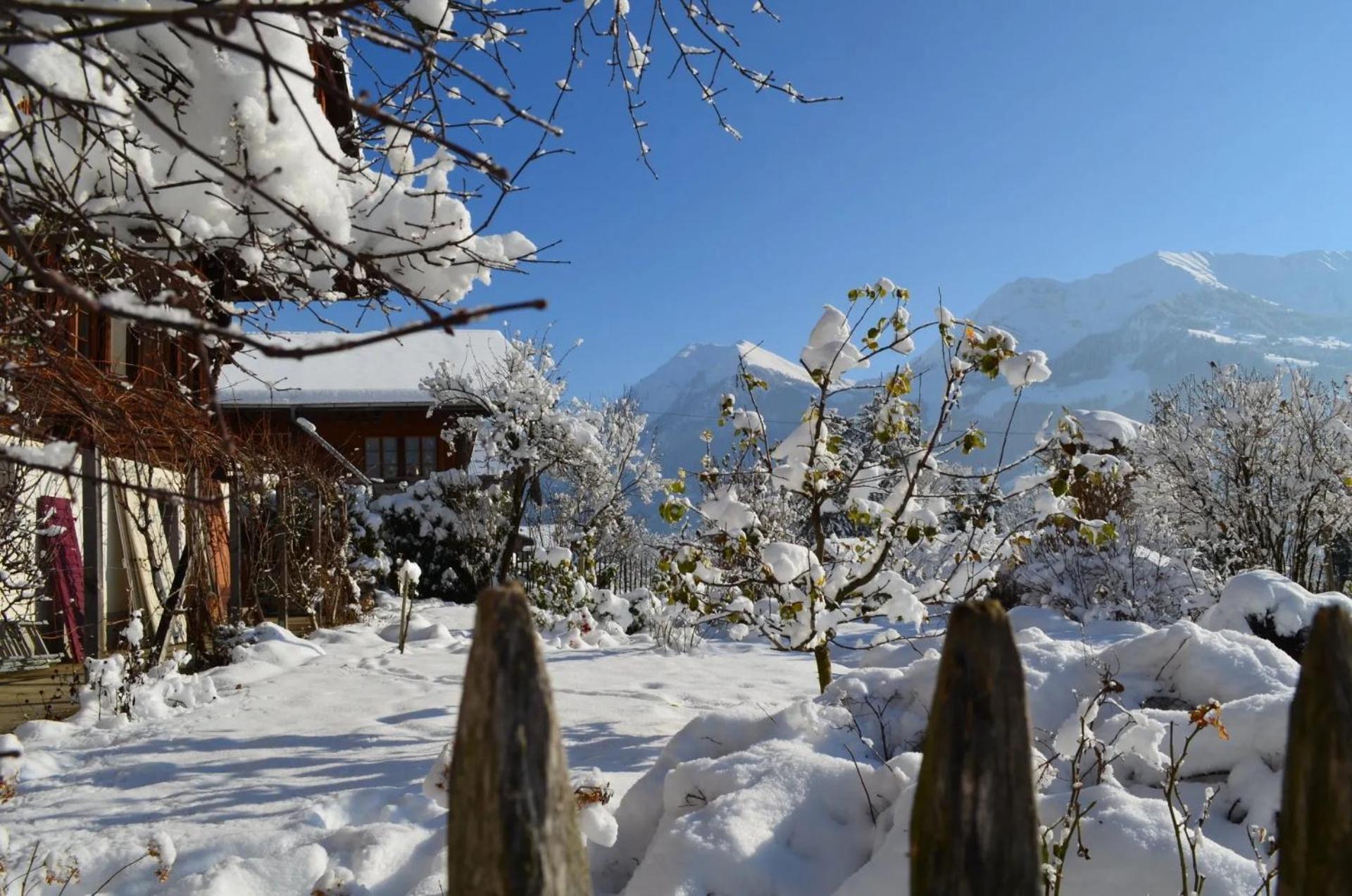 Swiss Mountain-Valley View Lodge Erlenbach im Simmental Eksteriør billede