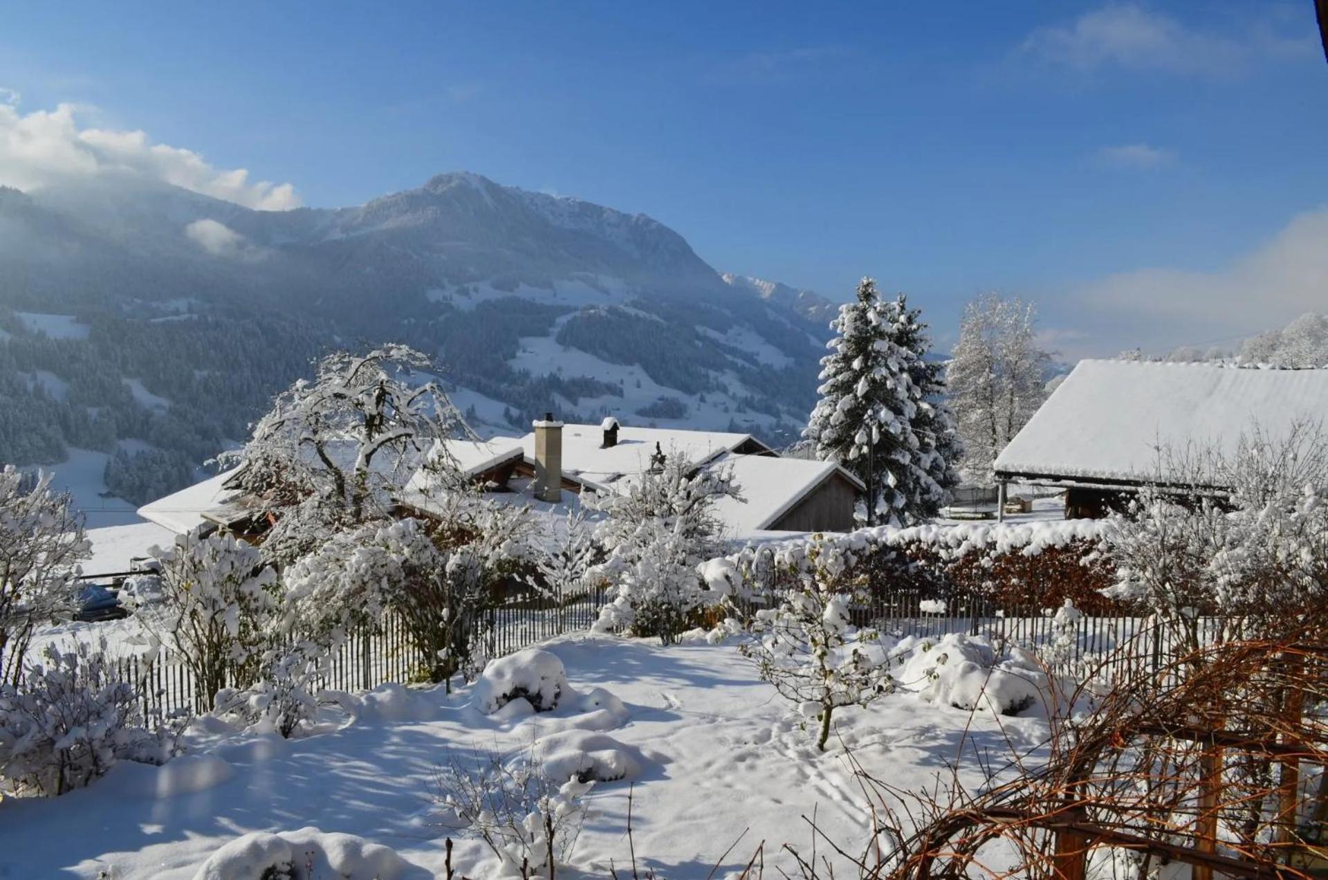 Swiss Mountain-Valley View Lodge Erlenbach im Simmental Eksteriør billede